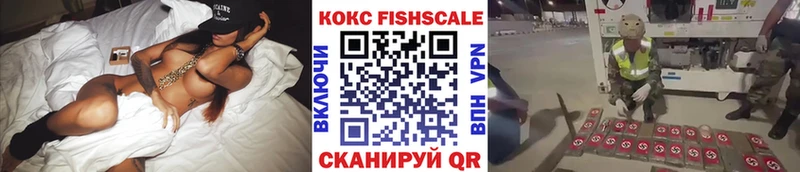 Кокаин FishScale  где найти наркотики  ОМГ ОМГ ONION  Хилок 