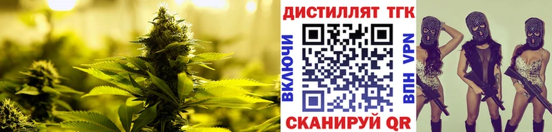 Дистиллят ТГК THC oil сколько стоит Хилок